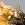 Kayıp Kedi İlanları
